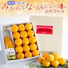 潮風の贈り物～みかんとなつみジュース(1本)の詰め合わせ～ L120