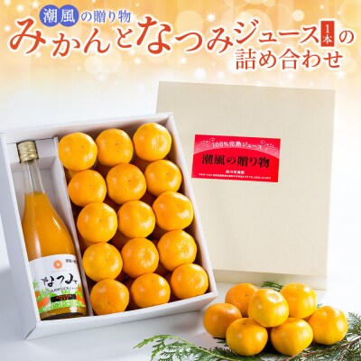 潮風の贈り物～みかんとなつみジュース(1本)の詰め合わせ～ L120