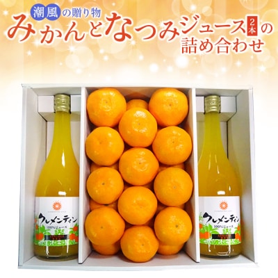 潮風の贈り物～みかんとなつみジュース(2本)の詰め合わせ～ N89