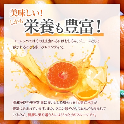 山本農園のクレメンティン 6kg 3kg×2箱 NC9