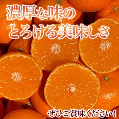山本農園のクレメンティン 6kg 3kg×2箱 NC9
