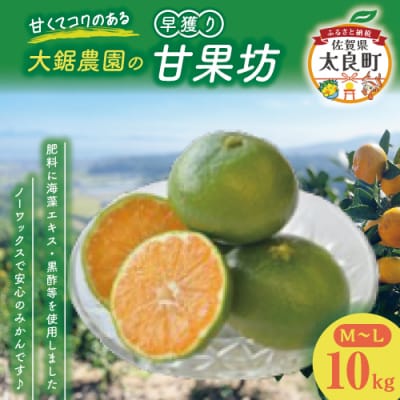 大鋸農園の早穫り甘果坊 10kg OD10