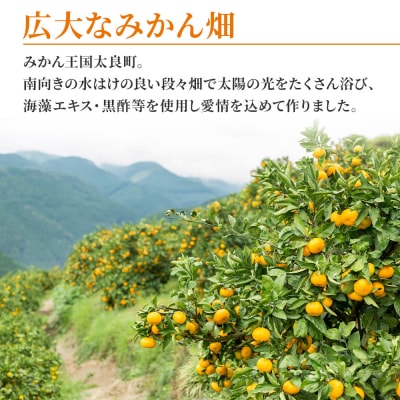大鋸農園の早穫り甘果坊 10kg OD10