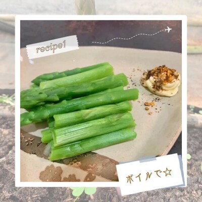朝採れアスパラガス2kg 朝採れ即発送「明日はパラダイス」 P113