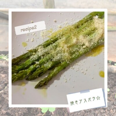 朝採れアスパラガス2kg 朝採れ即発送「明日はパラダイス」 P113