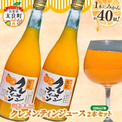 山本農園のクレメンティンジュース2本セット NC28