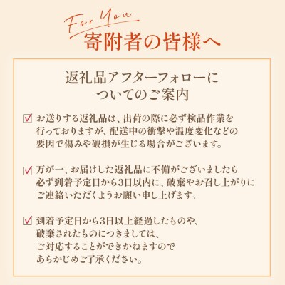 山本農園のクレメンティンジュース2本セット NC28