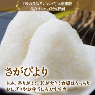 【令和7年度先行予約】牟田農園のさがびより(5kg×2袋)<精米> PF4