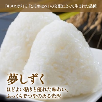 【令和7年度先行予約】佐賀県太良町産～牟田農園の夢しずく(5kg×2袋)<精米> PE12