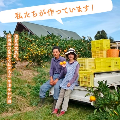 早津みかん園の完熟プチみかん 3kg L102