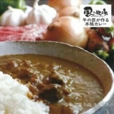 風の牧場「牛の匠が作る本格カレー」 200g×6 O170