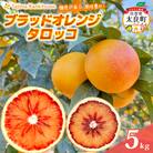 田島柑橘園&加工所のブラッドオレンジ(タロッコ)5kg O182