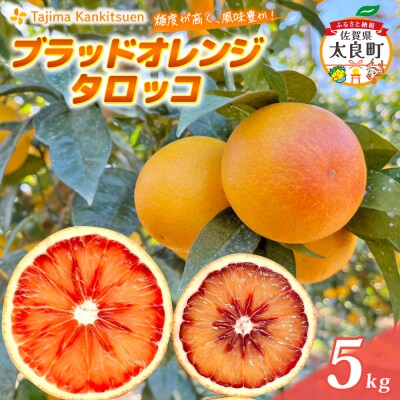 田島柑橘園&加工所のブラッドオレンジ(タロッコ)5kg O182