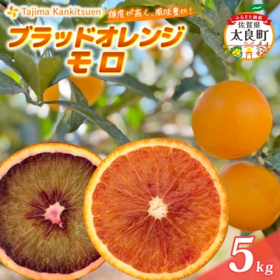 田島柑橘園&加工所のブラッドオレンジ(モロ)5kg O183