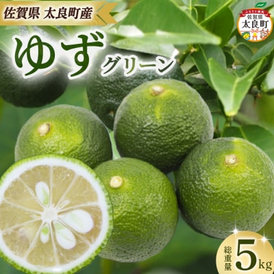 田島柑橘園&加工所のゆず(グリーン)5kg ND17