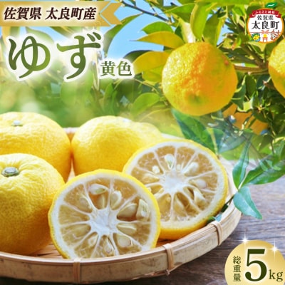 田島柑橘園&加工所のゆず(黄色)5kg ND18