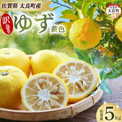 【訳あり】田島柑橘園&加工所のゆず(黄色)5kg NA31