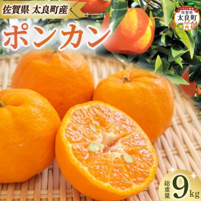 田島柑橘園&加工所のポンカン9kg OA16