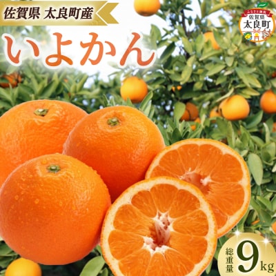 田島柑橘園&加工所のいよかん9kg OA17
