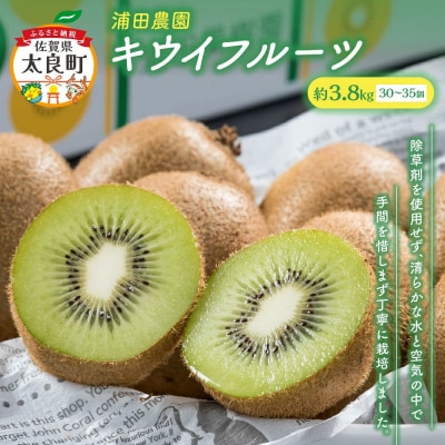 【体が喜ぶ】キウイフルーツ 30～35個(約3.8kg) バラ詰め合わせ スタンドパック 6袋付き