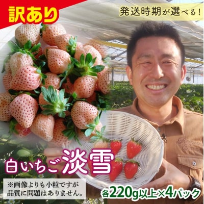 <訳あり品> 群馬県産白イチゴ「淡雪」【2025年3月1日〜5月15日発送】 F21E-253