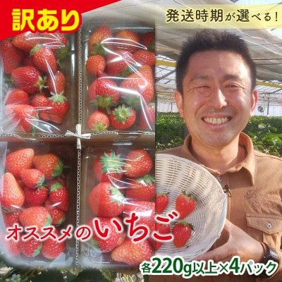 <訳あり品>群馬県産オススメいちご 4品種 【2025年1月4日〜3月31日発送】 F21E-254