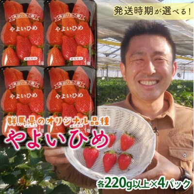 群馬県産いちごセット<やよいひめ4パック >【2025年1月4日〜3月31日発送】 F21E-246