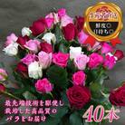 バラの花束(約40本) F20E-685