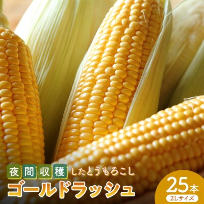 夜間収穫したとうもろこし ゴールドラッシュ2Lサイズ 25本 (約10kg) F21E-066