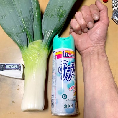 下仁田ねぎ15本 長ネギ 長ねぎ 長葱 ねぎ ネギ 有機肥料 野菜 群馬県 富岡市 F21E-065