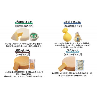 チーズアソート11種 / プレミアム食べ比べセット チーズ工房NEEDS[53690752]