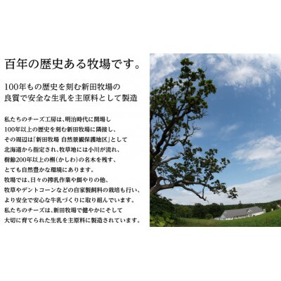 大地のほっぺ 300g×2個 チーズ工房NEEDS[53691326]