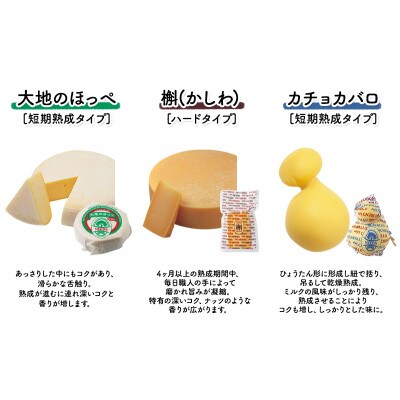 【毎月定期便】北海道十勝チーズアソート7種A / 槲入り バラエティセット[53690755]全4回