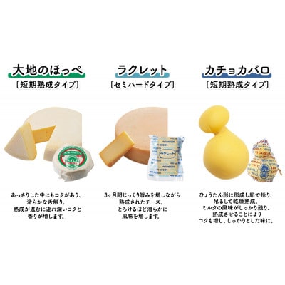 【毎月定期便】北海道十勝チーズアソート7種Bラクレット入りバラエティセット[53690761]全2回