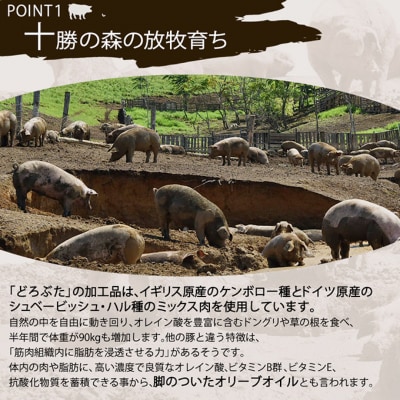 十勝幕別産ブランド放牧豚[どろぶた]人気商品ギフトセット[53691364]