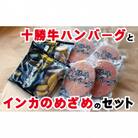 北海道十勝牛ハンバーグ800gとインカのめざめ500gセット[53691011]