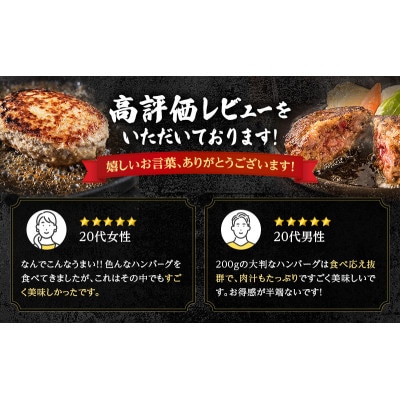 北海道 十勝牛 手ごね ハンバーグ 200g×22個 セット 牛100% 国産牛[53691152]