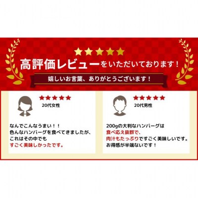 北海道 十勝牛 手ごね ハンバーグ 200g×22個 セット 牛100% 国産牛[53691152]