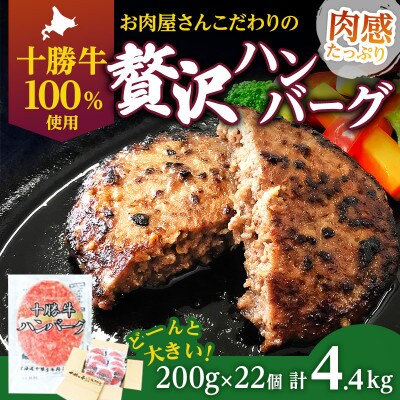 北海道 十勝牛 手ごねハンバーグ 200g×22個 [53691498]