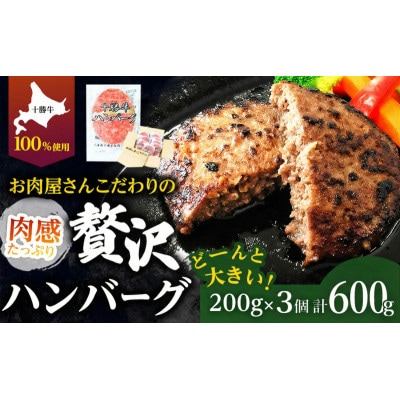 北海道 十勝牛 手ごねハンバーグ 200g×3個 [53691499]