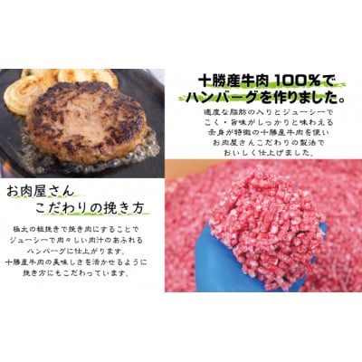 北海道 十勝牛 手ごねハンバーグ 200g×3個 [53691499]