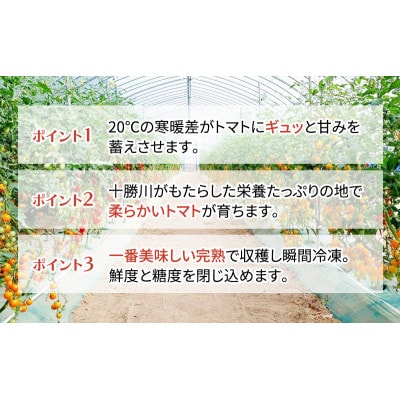 十勝幕別 赤と黄色のトマトジュース自慢のトマト　北海道ホープランド農場[53691421]
