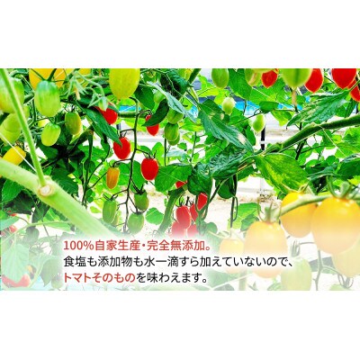 十勝幕別 赤と黄色のトマトジュース自慢のトマト　北海道ホープランド農場[53691421]