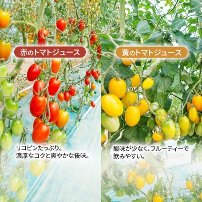 十勝 幕別産ミニトマトジュース赤720ml×1本・黄180ml×4本 セット[53691421]