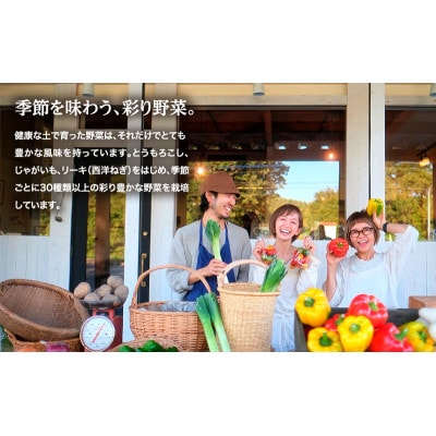 小笠原農園の有機じゃがいも「とうや」12kg《秋出荷先行予約》[53690933]