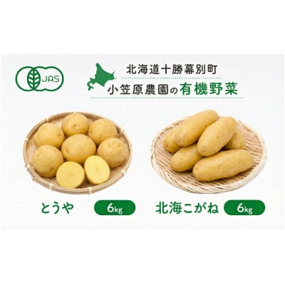 小笠原農園の有機じゃがいも2種 とうや・北海こがね 各6kg《秋出荷先行予約》[53690938]