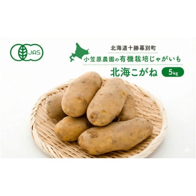 小笠原農園の有機じゃがいも「北海こがね」5kg 《2026年秋出荷先行予約》[53691397]