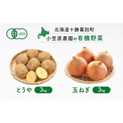 小笠原農園の有機野菜2種詰合せ(とうや・玉ねぎ)各3kg《秋出荷先行予約》[53691401]