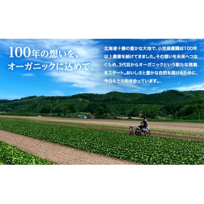 有機野菜3種詰合せ(とうや・北海こがね・玉ねぎ)各2kg《秋出荷先行予約》[53691406]