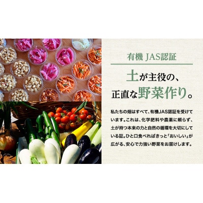 有機野菜3種詰合せ(とうや・北海こがね・玉ねぎ)各2kg《秋出荷先行予約》[53691406]